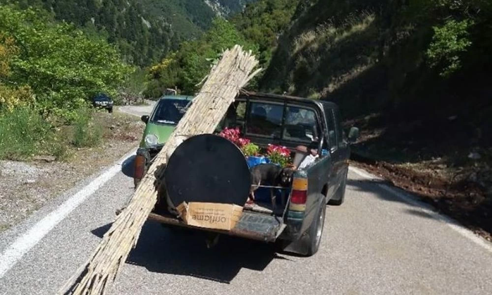 Δικογραφία για οδηγό που φέρεται να έσερνε σκύλο με το αυτοκίνητό του